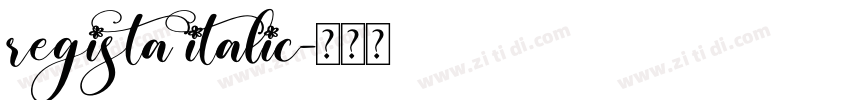 regista italic字体转换